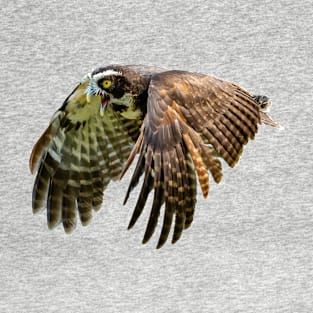 Spectacled owl in flight T-Shirt